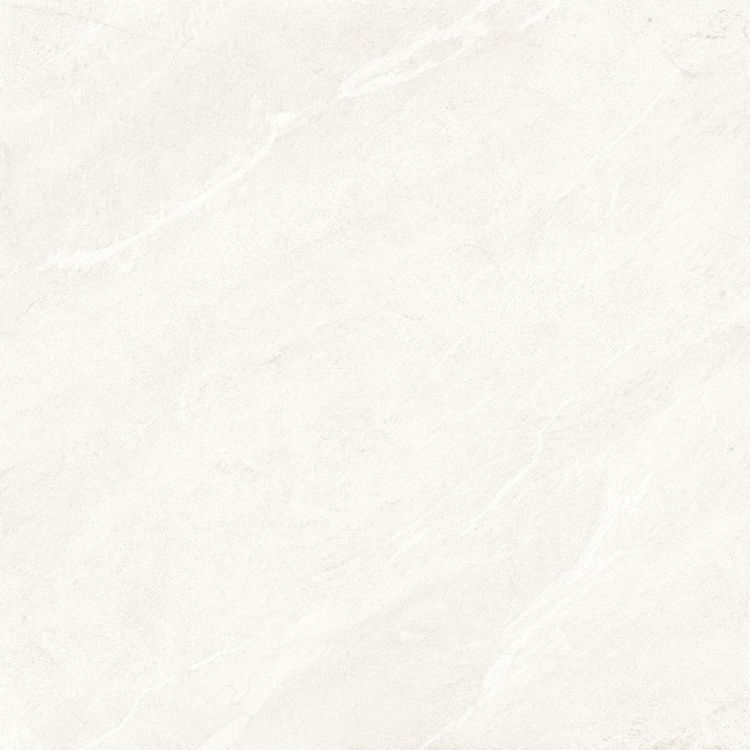 Dhara White Matte 48 x 48